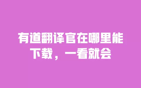 有道翻译官在哪里能下载,一看就会 一