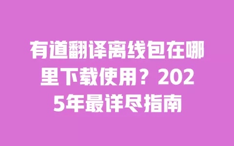 有道翻译离线包在哪里下载使用？2025年最详尽指南 一