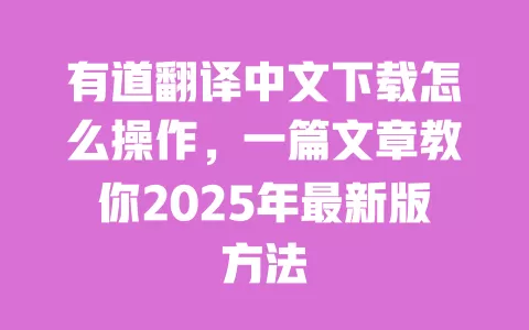 有道翻译中文下载怎么操作，一篇文章教你2025年最新版方法 一