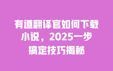 有道翻译官如何下载小说,2025一步搞定技巧揭秘 一