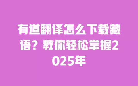有道翻译怎么下载藏语？教你轻松掌握2025年 一