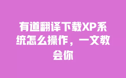 有道翻译下载XP系统怎么操作，一文教会你 一