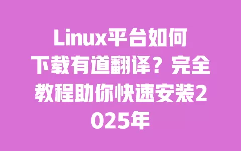 Linux平台如何下载有道翻译？完全教程助你快速安装2025年 一